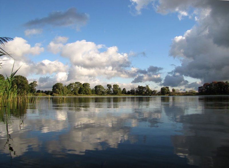 пруд, осень, небо, облака, отражения в воде, деревья, камышь. Зеркальное отражениеphoto preview