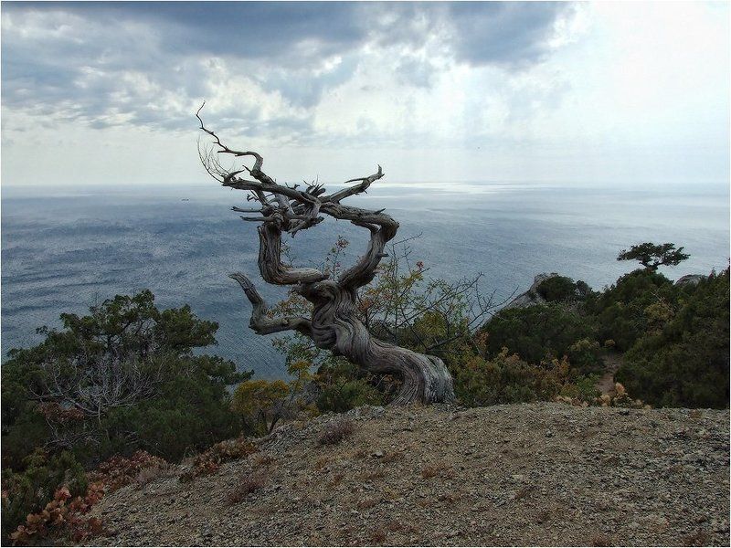 Жестокое времяphoto preview