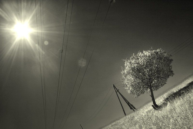 А в этом месте... по другому не прожить...photo preview