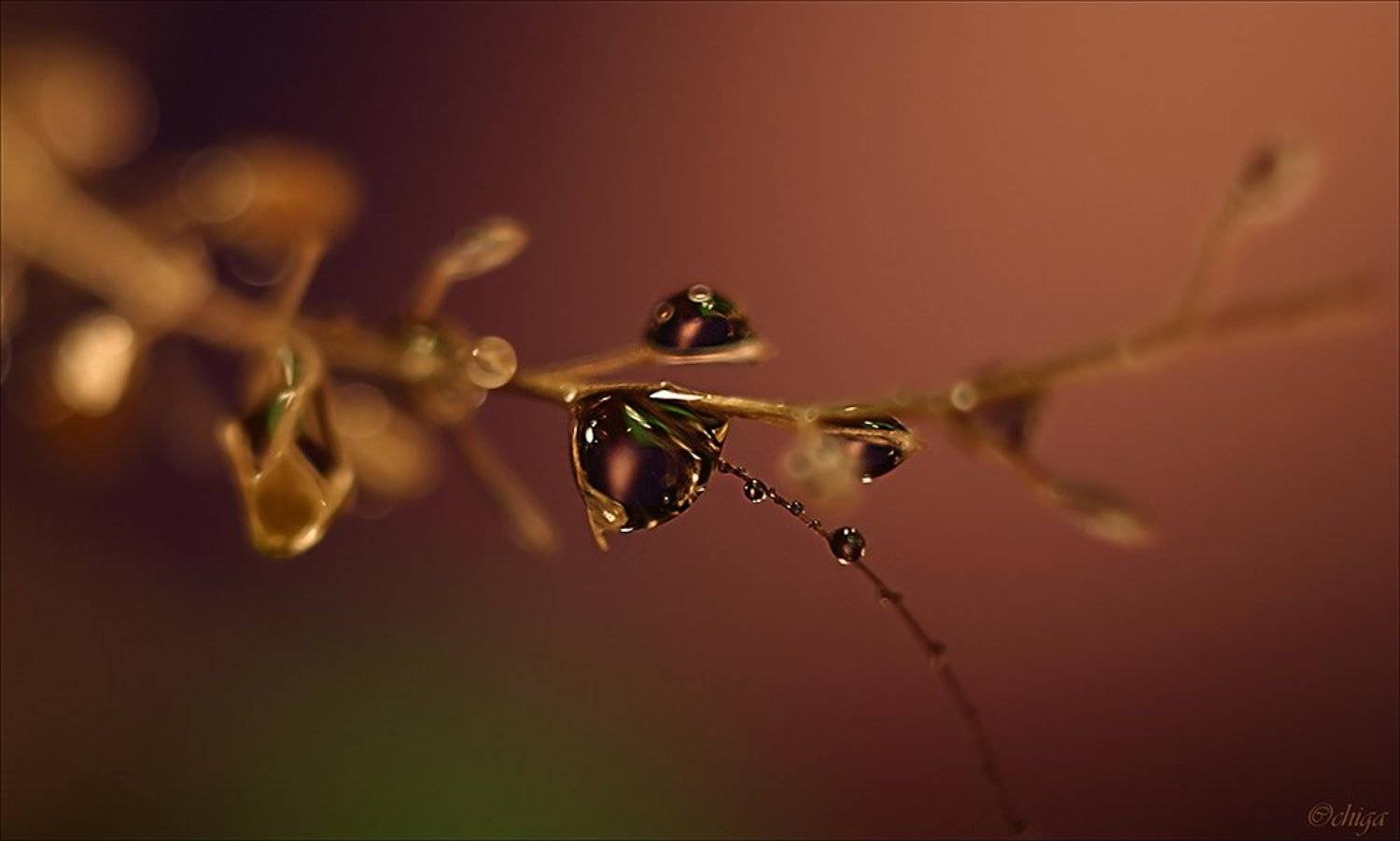 Вечереет.... Автор: Chiga вода, капли, Chiga