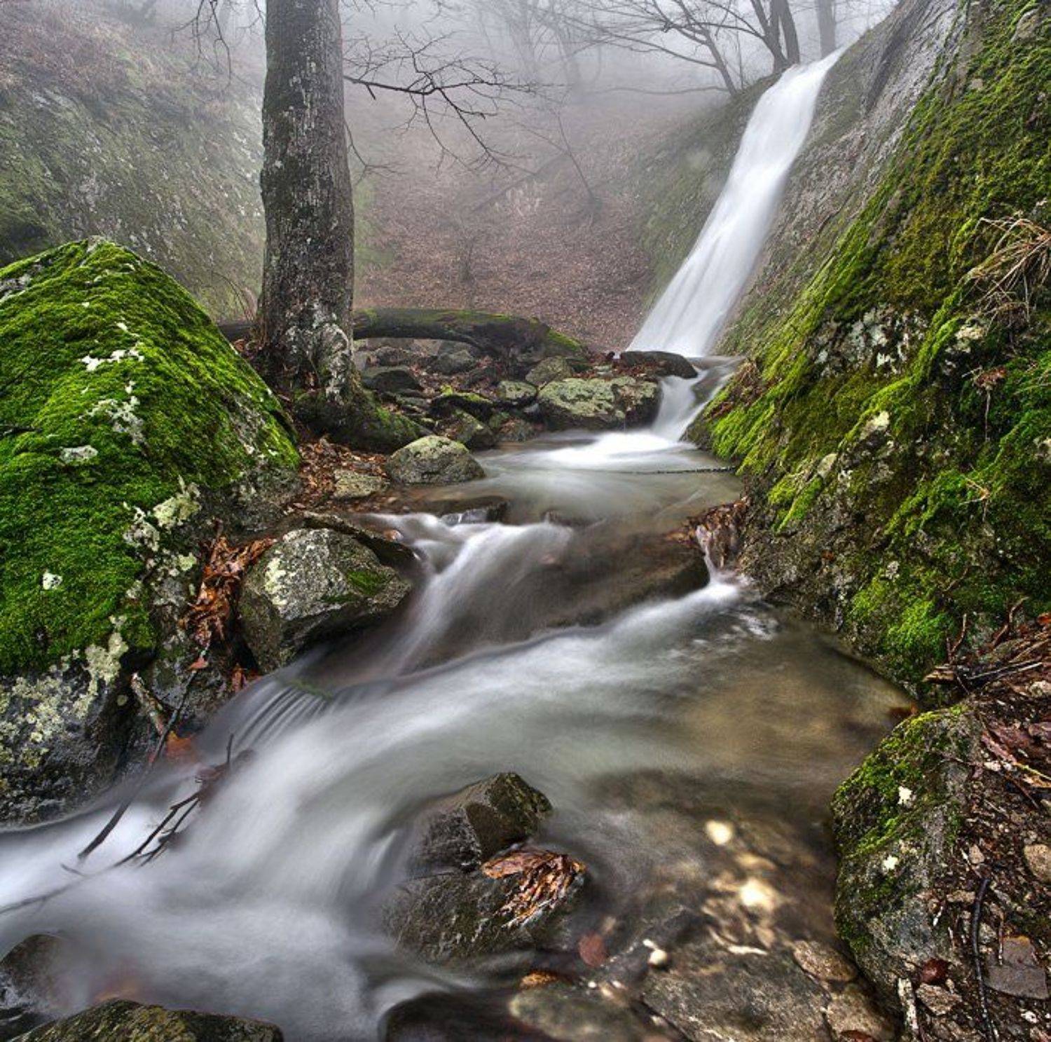 , Синицкий Виталий