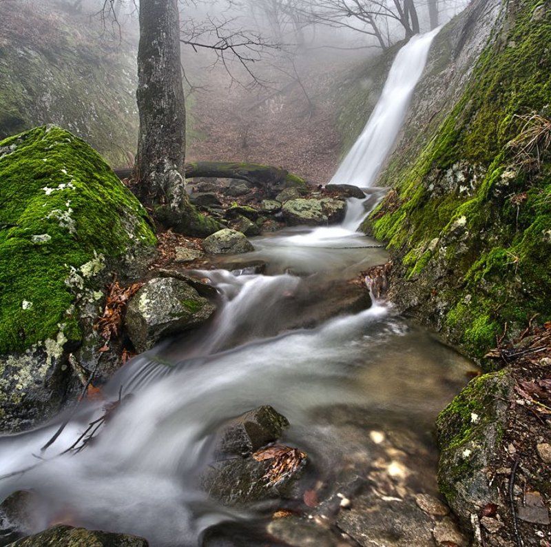 Февральские воды.photo preview