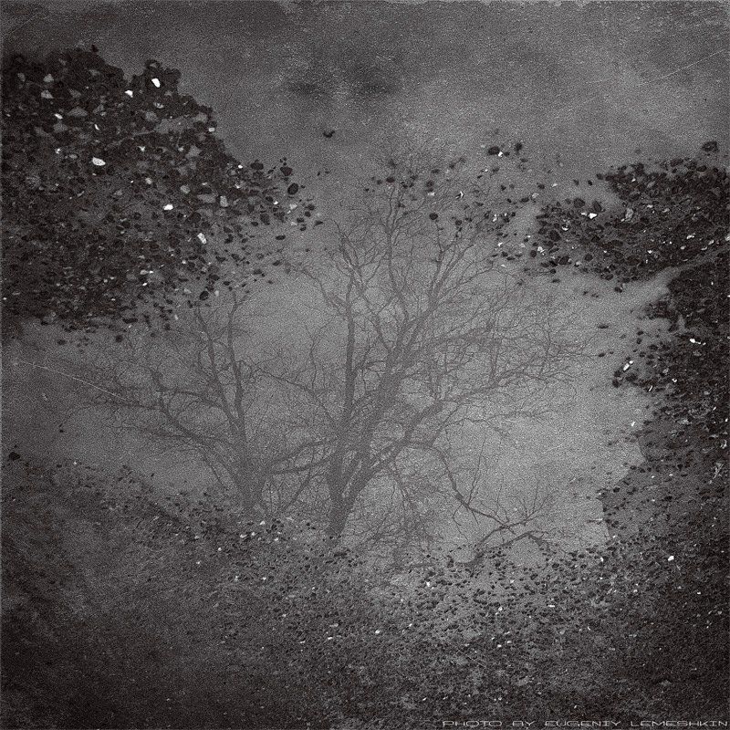 смотрящий изнутри асфальта..photo preview