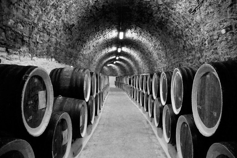 in, vino, veritas In vino veritasphoto preview