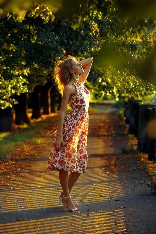 ветер, аллея, солнце, лучи Когда садится алый день...photo preview