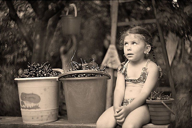 Урожайphoto preview