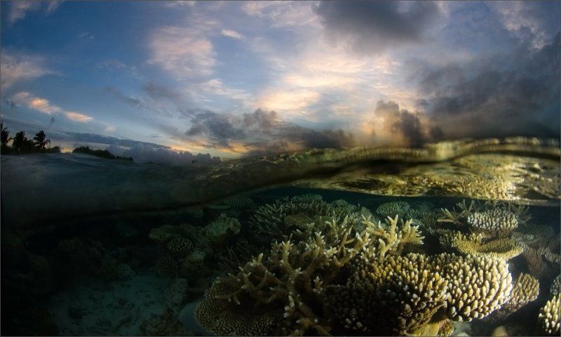волна_накрыла Под закатным пологом океана ... фото превью