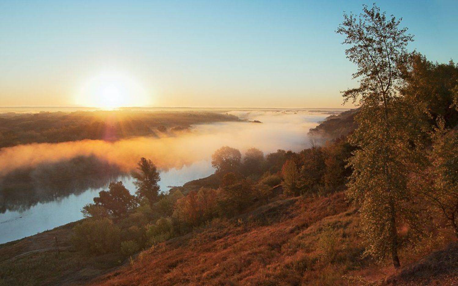 Осеннее утро. Автор: Срибный Евгений , Срибный Евгений