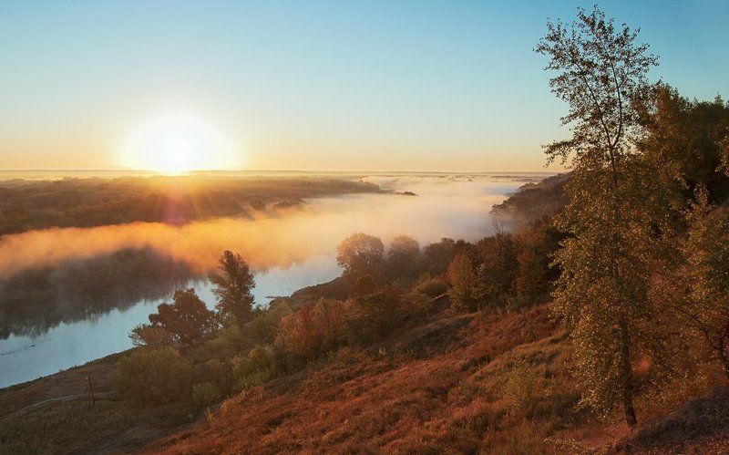 Осеннее утроphoto preview