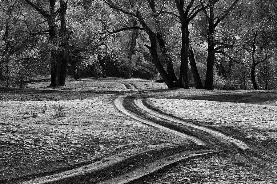 , Качурин Алексей