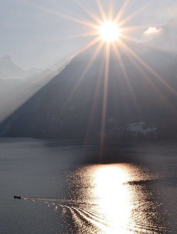 Ловец мечтыphoto preview