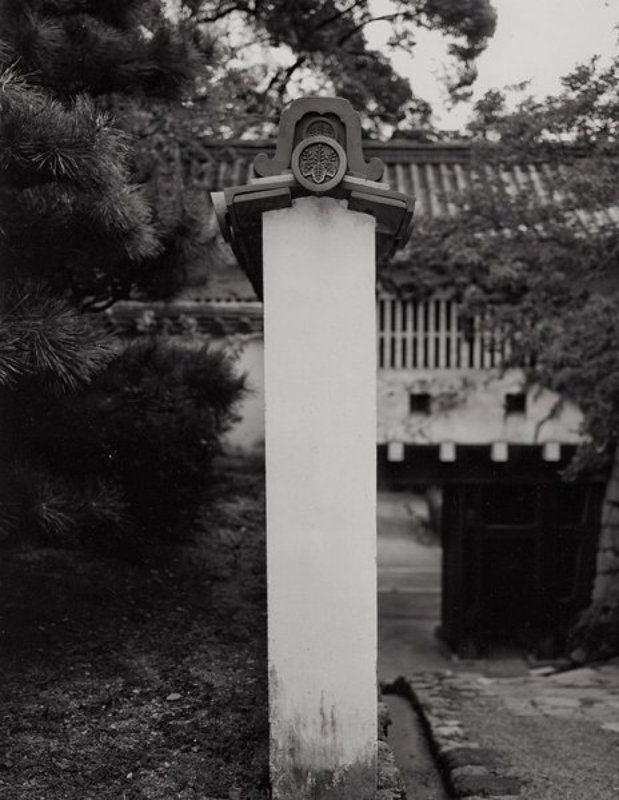 утопия Инь и Яньphoto preview