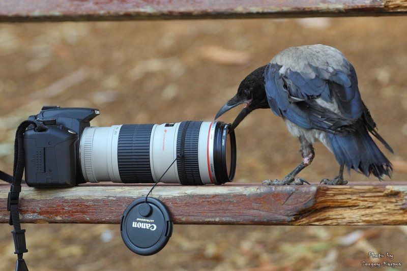 А вот это можно снять....photo preview