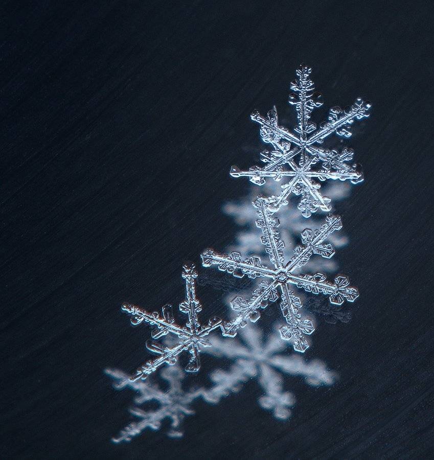 Снегопад... Автор: Марина Брыдня снег, снежинка, зима, Марина Брыдня