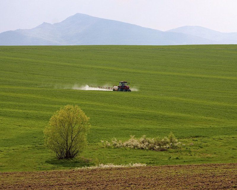 Зеленое мореphoto preview