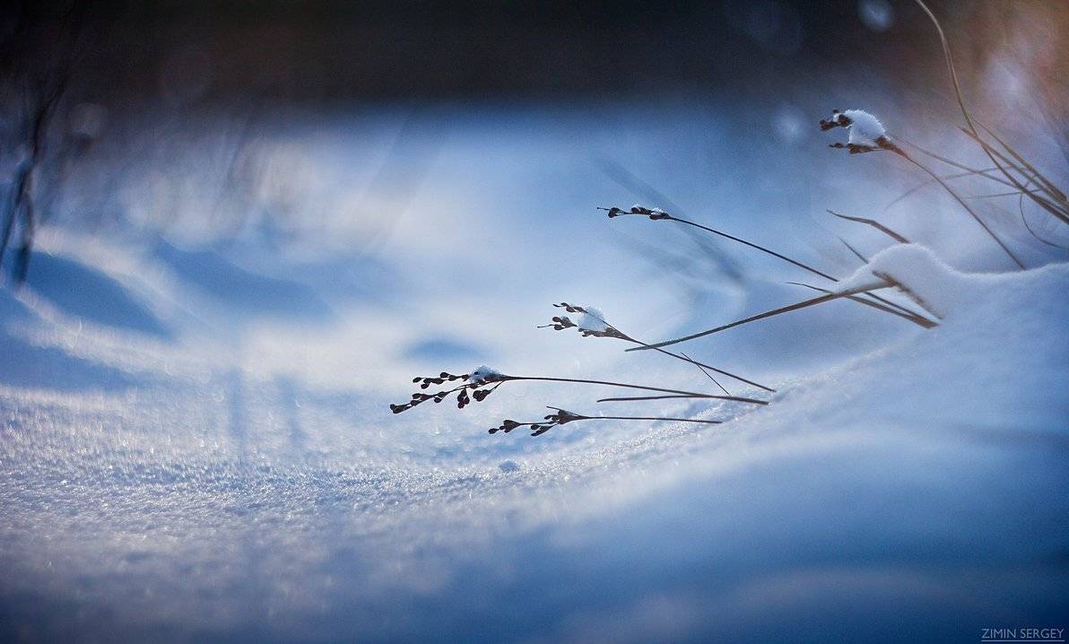 , Сергей Зимин