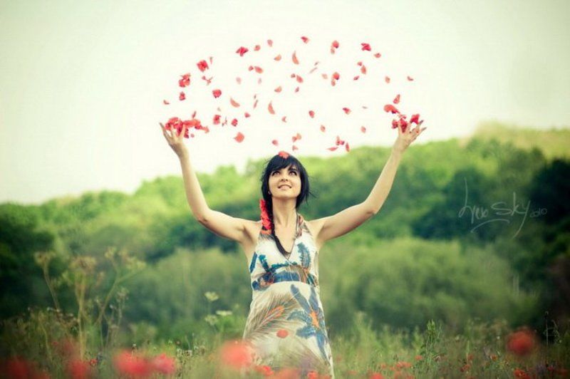 девушка, маки, поле Лети-лети лепесток...photo preview
