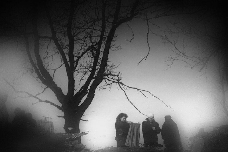 лужа, отражение, осень *photo preview