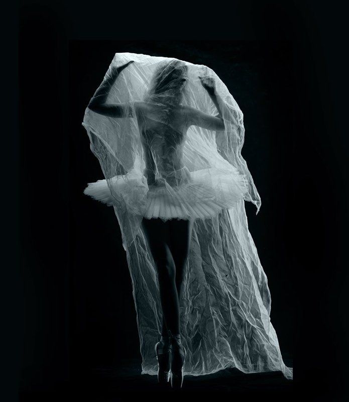 ОФЕЛИЯphoto preview