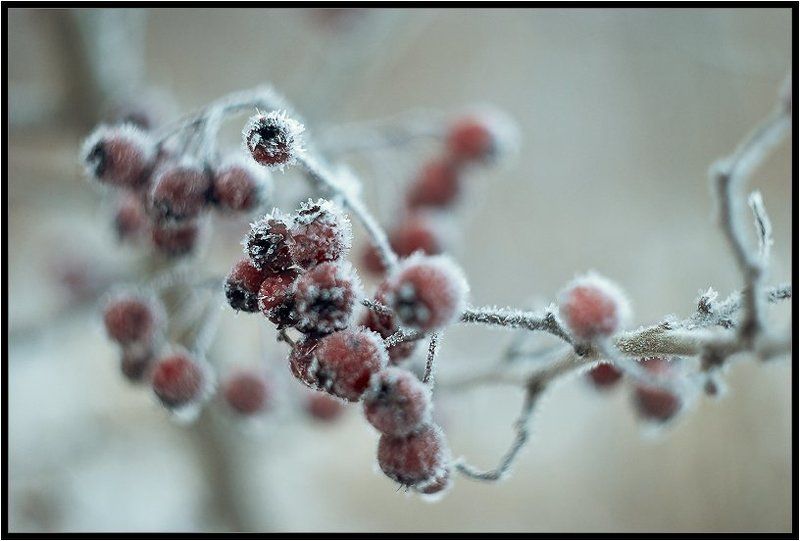 морозное утро фото превью