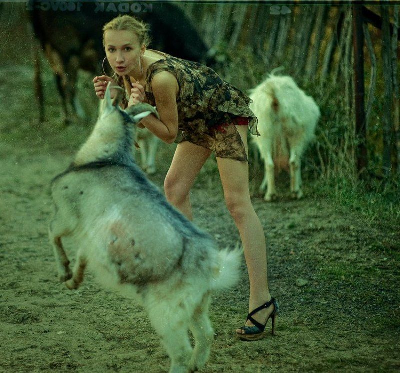 про активную животину или все мужики козлыphoto preview