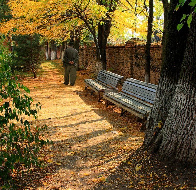 Последняя осеньphoto preview