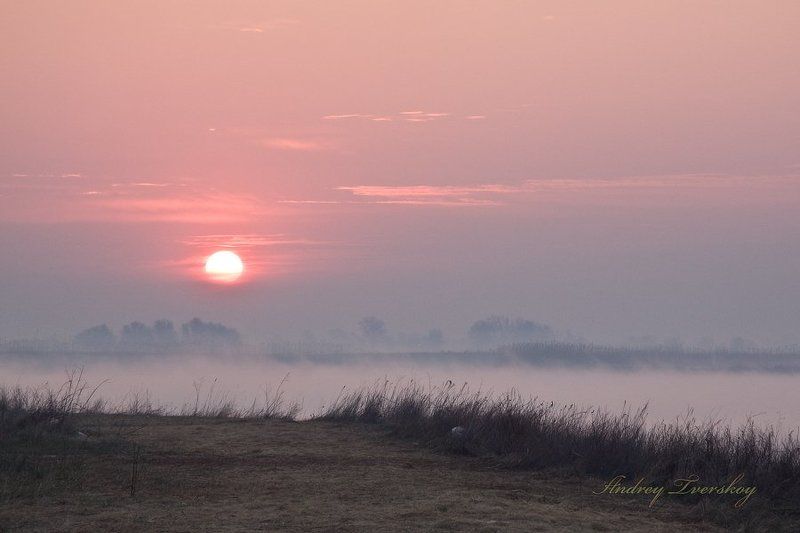 пейзаж;, природа Утро.photo preview