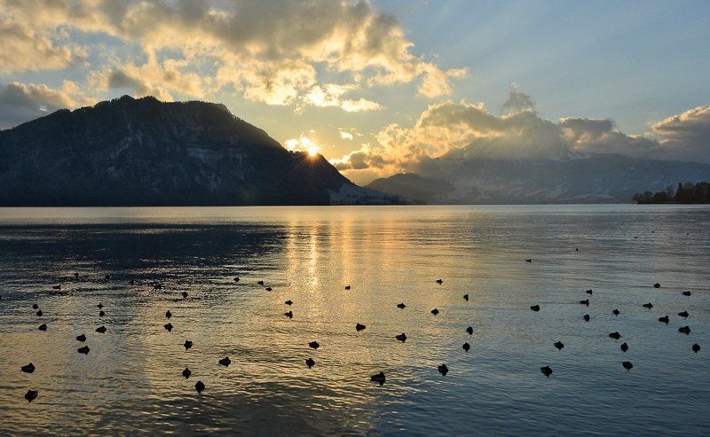 Спокойной ночи...photo preview