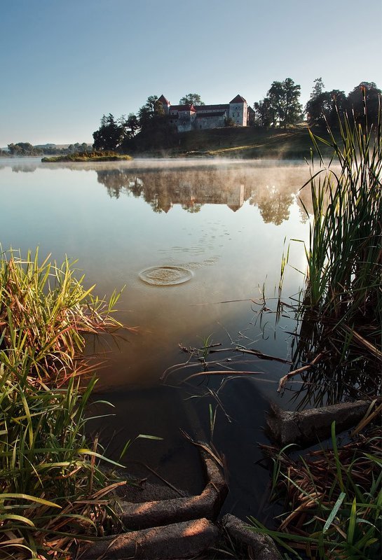 Утро Свиржаphoto preview