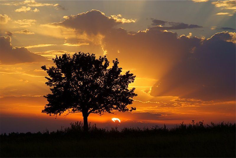 закат закатphoto preview