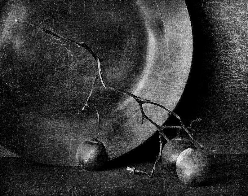 Ветка винограда..photo preview