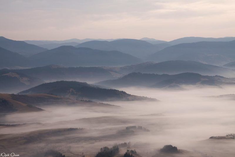 боржава, карпати, туман, ранок Боржавські походенькиphoto preview