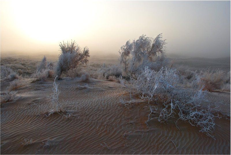 природа С добрым....утром...photo preview