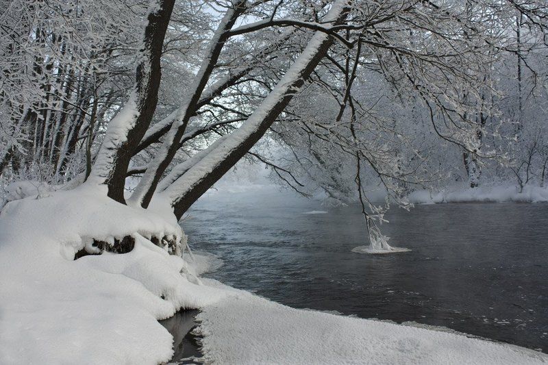 Зимний этюдphoto preview