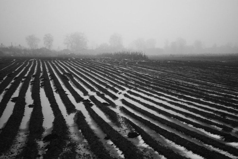 //\\\\\\\\photo preview