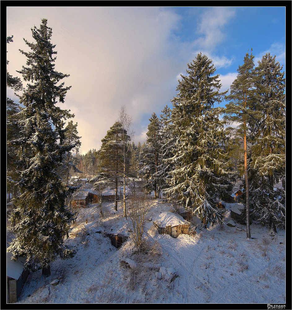 Утренний вид из окна.. Автор: Павел Жданов зима_вид, из, окна., Павел Жданов