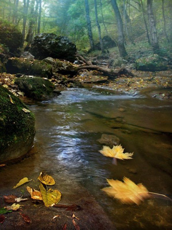 пейзаж,осень,вода,воздух листосплавphoto preview