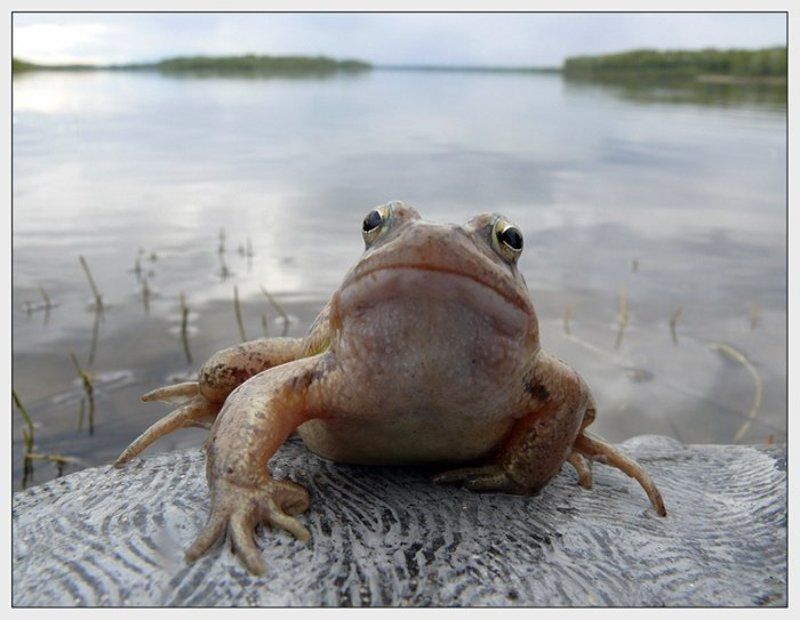 Ну шо, прынцы, оробели? Подходи по одному! фото превью