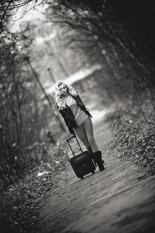 Bon Voyagephoto preview