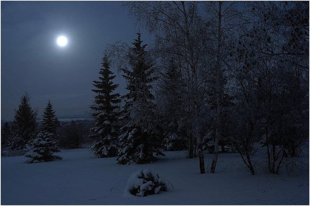 Вдруг,откуда то там из за елки.. Автор: Евгений strannik521 , Евгений strannik521