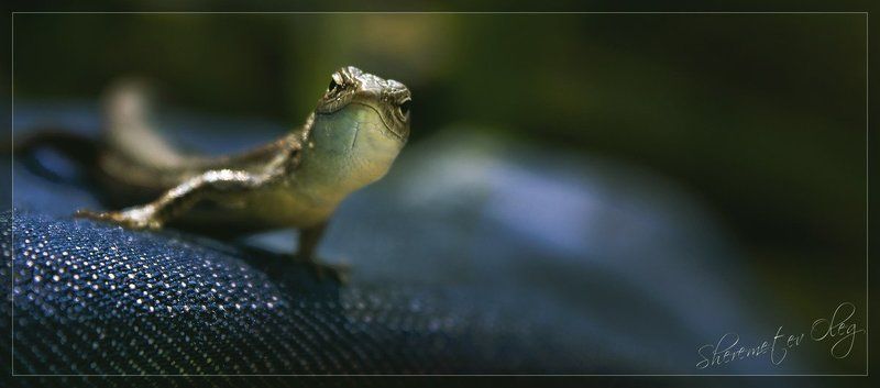 На позитиве)photo preview