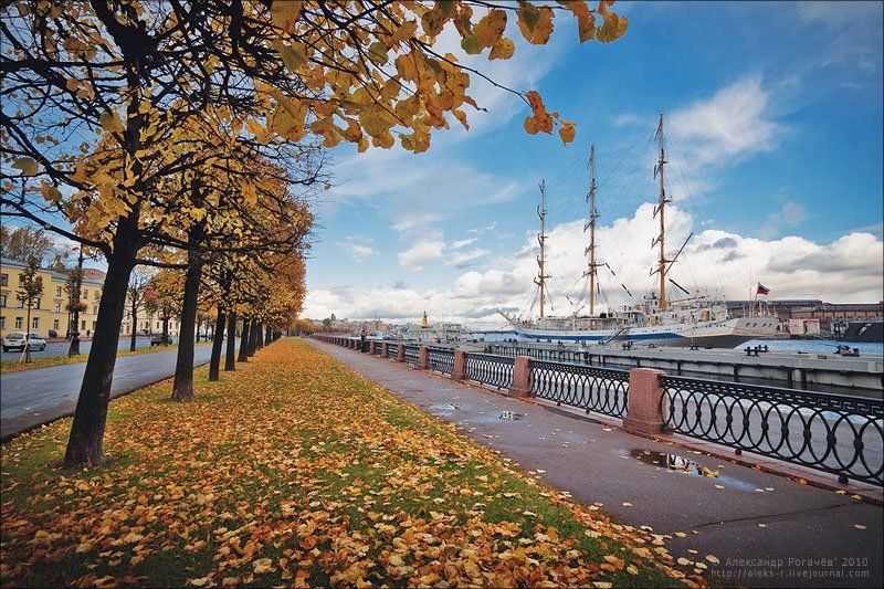 питер,осень,петербург Из Петербурга - с любовью:)photo preview