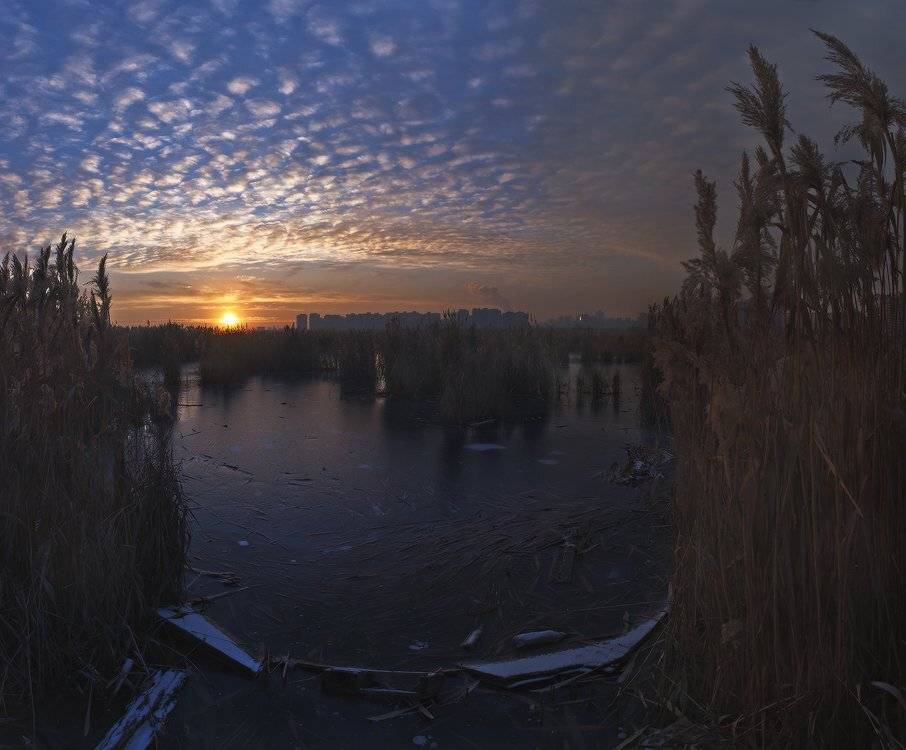 , Михаил Мочалов