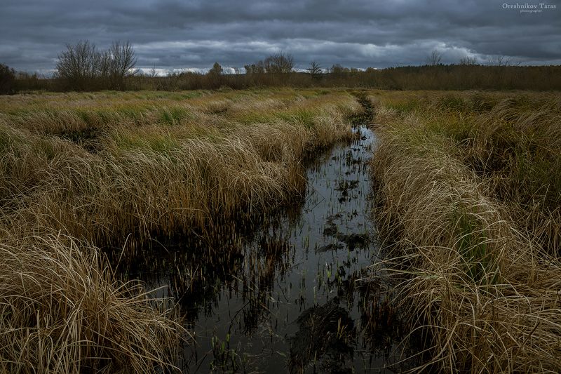 пейзаж,природа,осень,погода,луг,поле,небо,рассвет,утро, photo preview