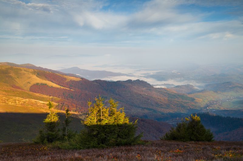 карпаты, боржавский хребет Прикосновение теплаphoto preview