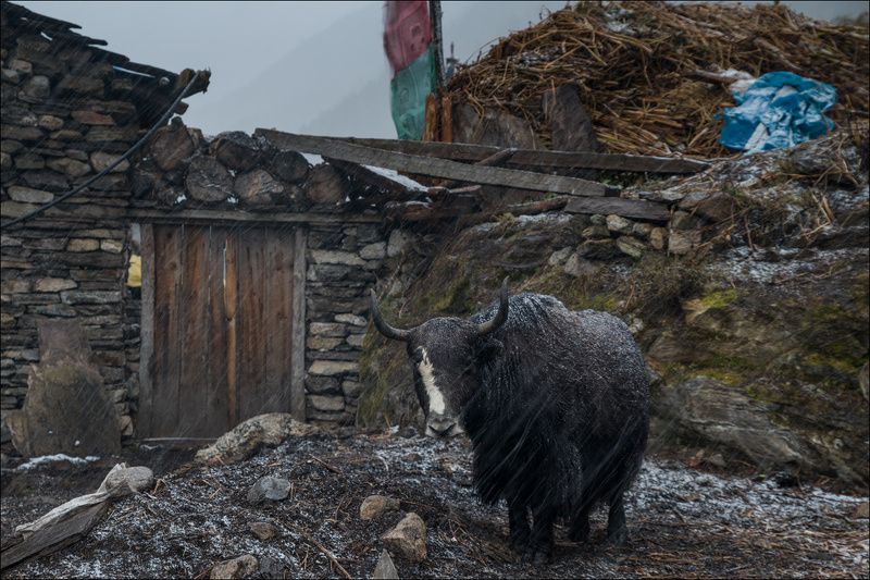 непал, manaslu ***photo preview