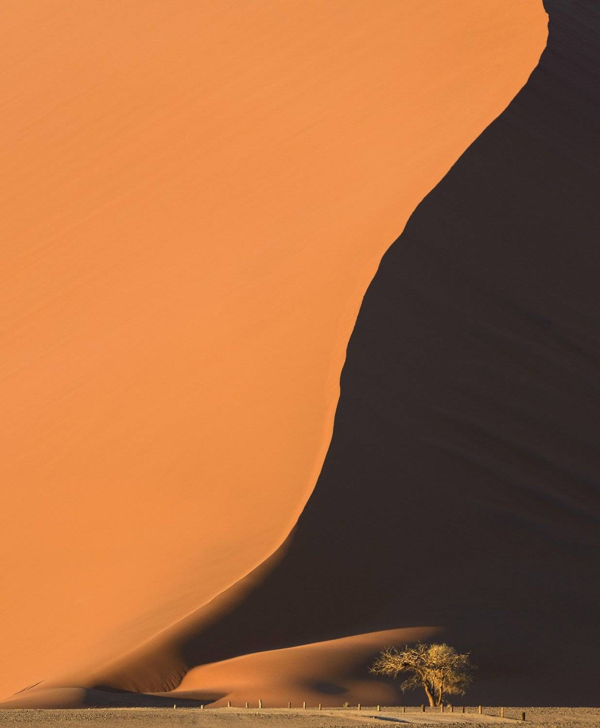 намибия, namib, sossusvlei, соссусфлей, Сергей Алещенко