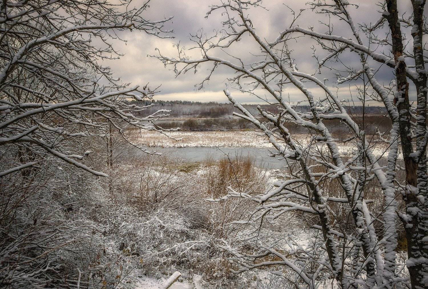 , Пушкарев Николай