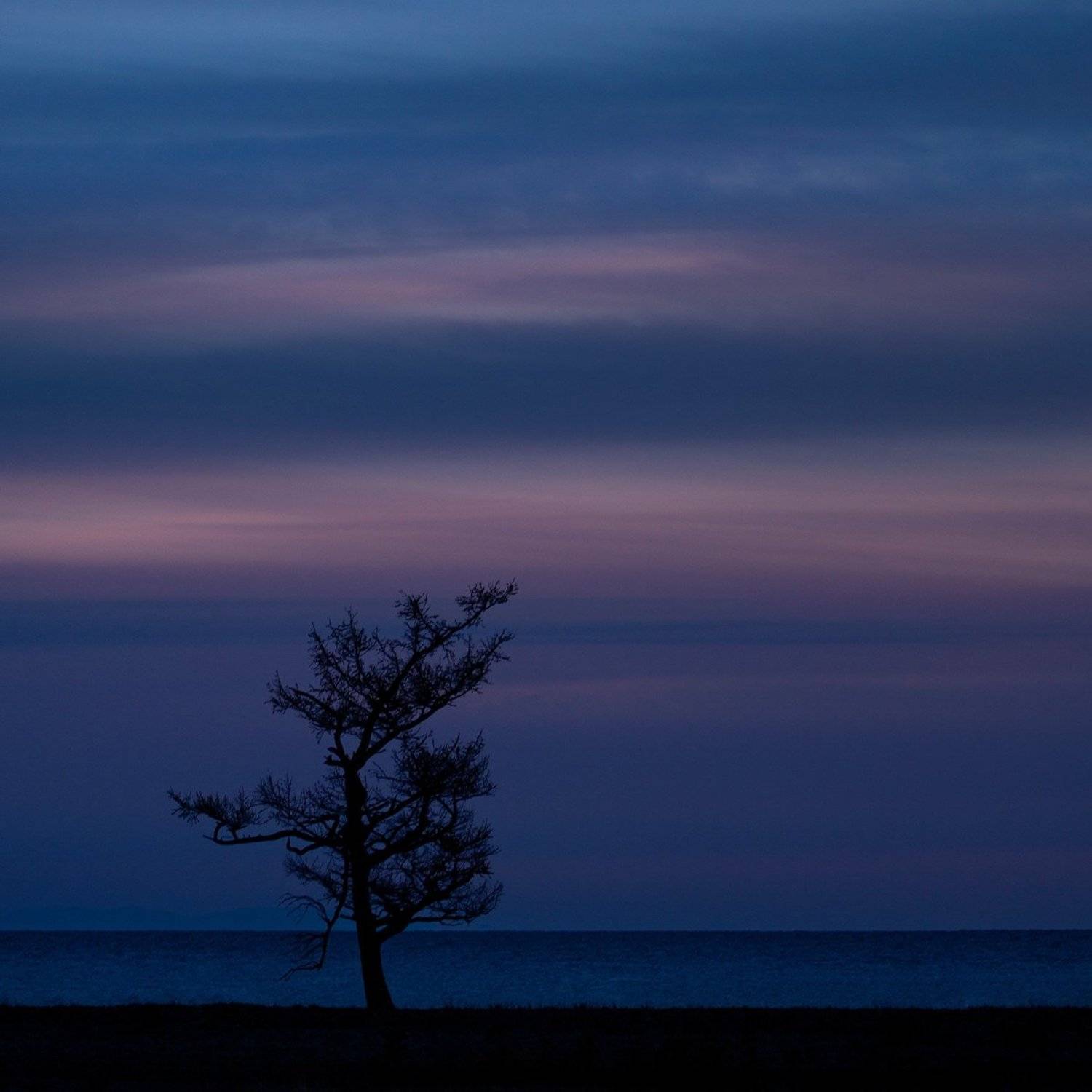 , Алексей Трофимов