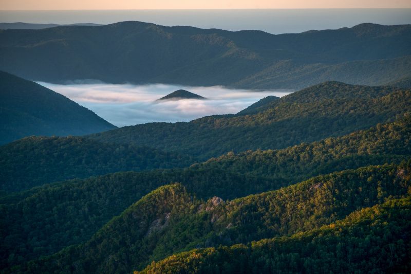 Приморский край, Приморье, Горы, Тайга, Туман Когда спящий проснётсяphoto preview